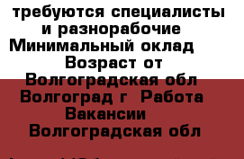 требуются специалисты и разнорабочие › Минимальный оклад ­ 40 000 › Возраст от ­ 18 - Волгоградская обл., Волгоград г. Работа » Вакансии   . Волгоградская обл.